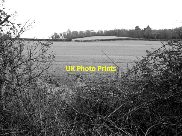 Photo 6"x4" Fields and boundary hedges Caistor St Edmund c2016
