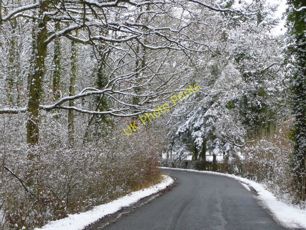 Photo 6"x4" Kempley Road 1 Linton\/SO6625 c2009