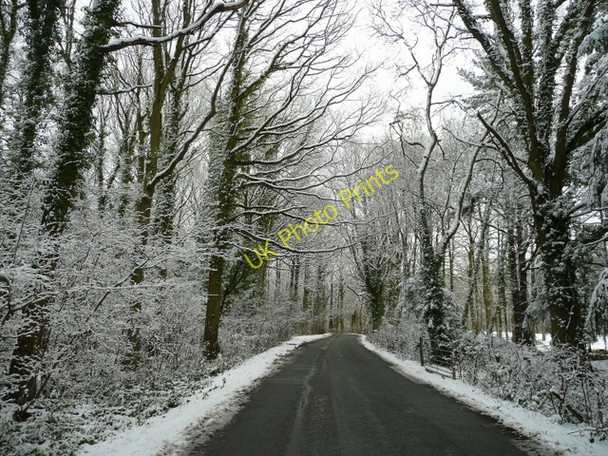 Photo 6"x4" Kempley Road 2 Linton\/SO6625 c2009