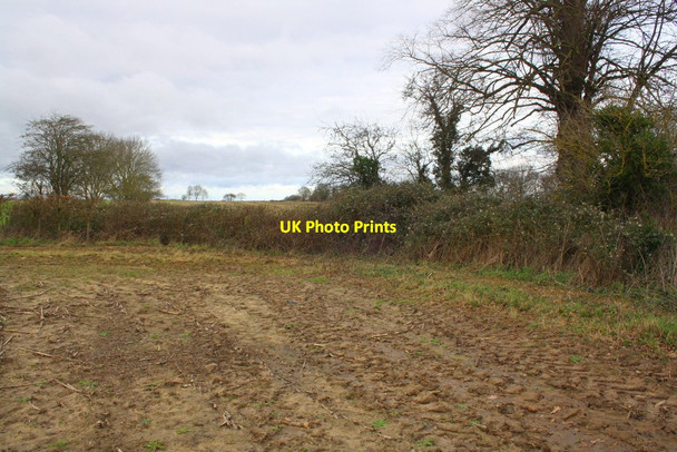 Photo 6"x4" Corner of field near Painton's Farm Netherton\/SU4199 c2016