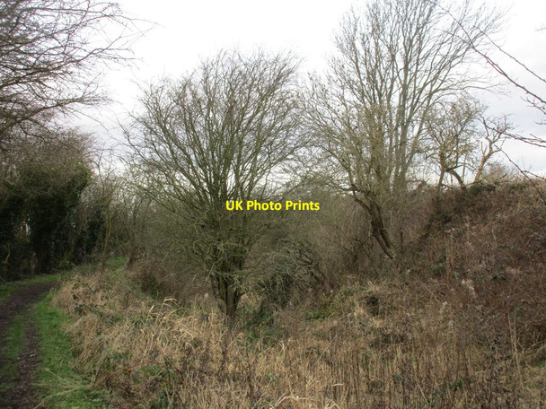 Photo 6"x4" The Chesterfield Canal Holbrook\/SK4481 c2016