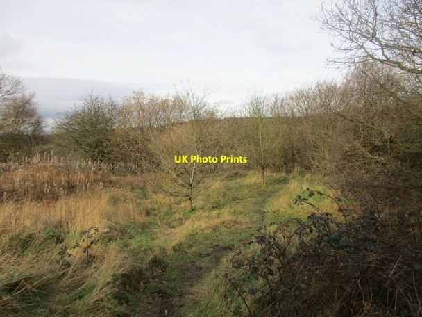 Photo 6"x4" Footpath from the canal Norwood\/SK4681 c2016