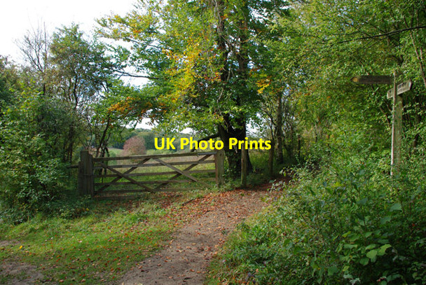 Photo 6"x4" Path junction, Chipstead Valley Banstead c2010