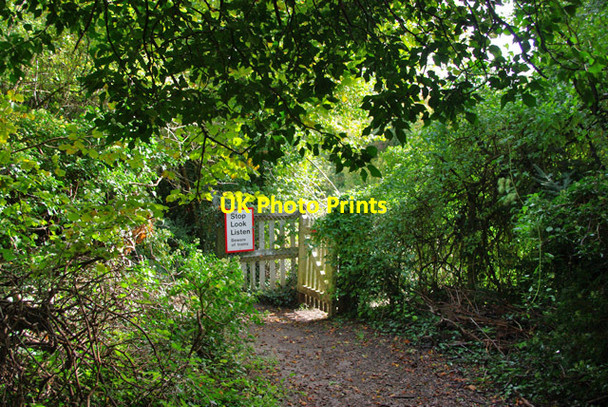 Photo 6"x4" Approach to railway foot crossing, Chipstead Bottom Banstead c2010