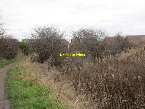 Photo 6"x4" The Chesterfield Canal Killamarsh c2016