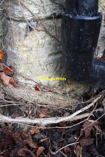 Photo 6"x4" Benchmark on the 'Rose Revived' Newbridge\/SP4001 c2016