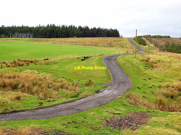 Photo 6"x4" Access track from Goatstones to Ward Lane Uppertown\/NY8672 c2016