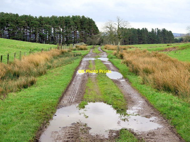 Photo 6"x4" Track west of Whistlecocks Park End\/NY8775 c2016