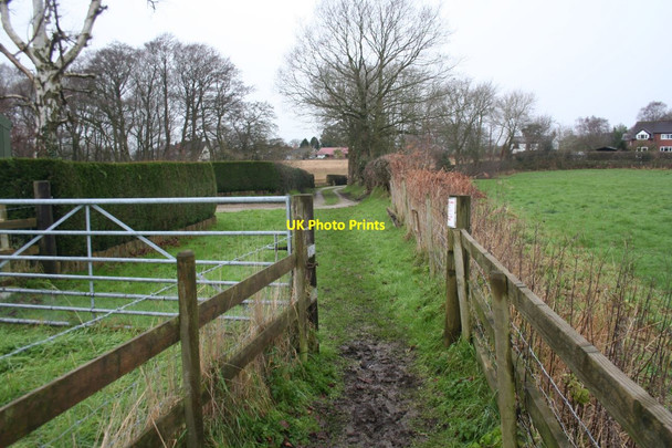 Photo 6"x4" Footpath in Mouldsworth Manley\/SJ5071 c2016