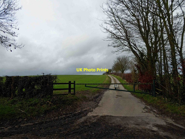 Photo 6"x4" Farm road to Allenby's Furze Hallington\/TF3085 c2016