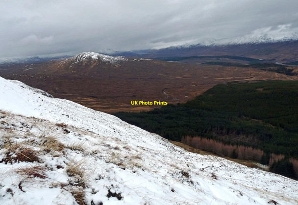 Photo 6"x4" Northern slopes of Meall Doir' an Daimh, Inverness-shire Garrygualach c2016