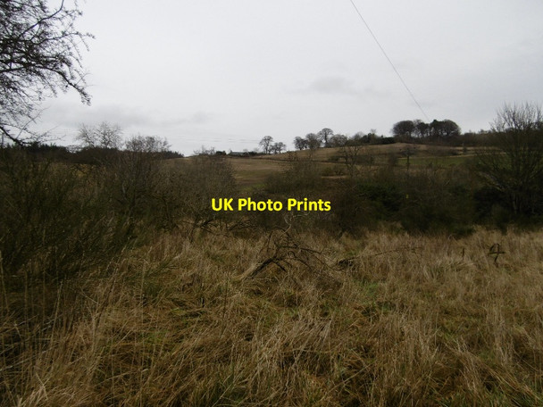 Photo 6"x4" Wetland beside the Knapp Burn Knapp\/NO2831 c2016
