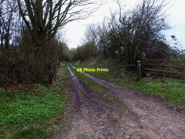 Photo 6"x4" New Plantation farm track Withcall c2016