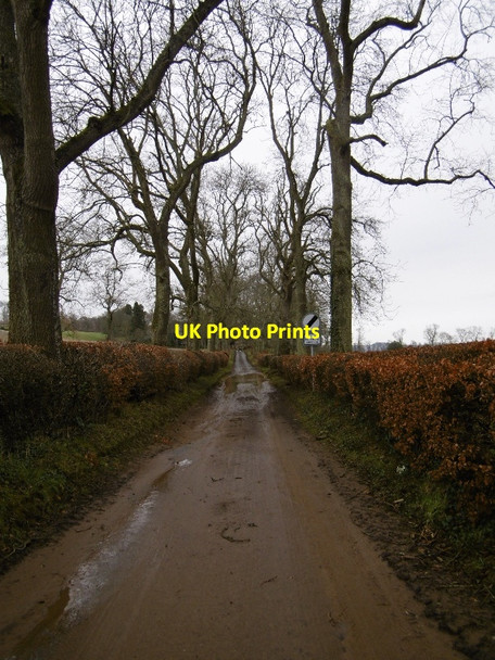 Photo 6"x4" Flooded road, Knapp Knapp\/NO2831 c2016