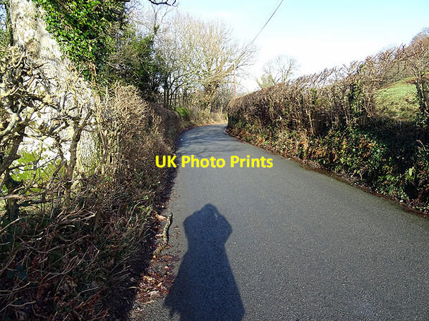 Photo 6"x4" Me and my shadow Llangower c2016