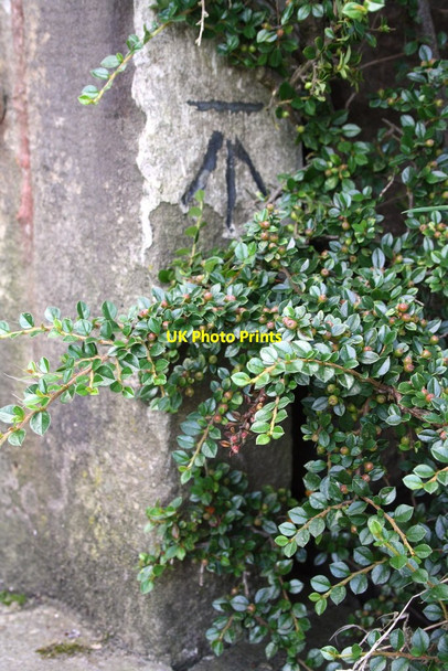 Photo 6"x4" Benchmark on Standridge Farm gate jamb Barnoldswick\/SD8746 c2015
