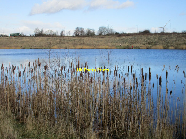 Photo 6"x4" The Blue Lagoon and bulrushes Flixborough c2016