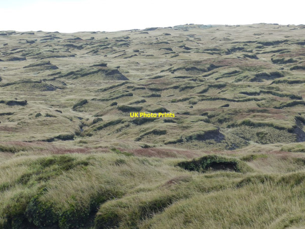 Photo 6"x4" The greening of Kinder plateau Upper Booth c2016