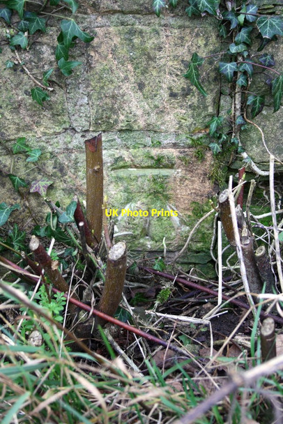 Photo 6"x4" Benchmark of gate pier south of Gagingwell Gagingwell c2014