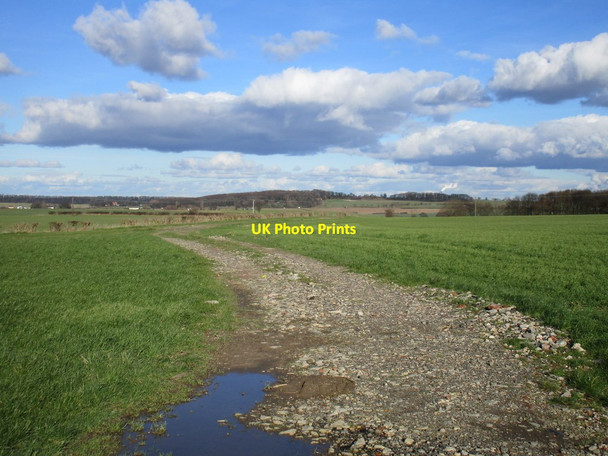 Photo 6"x4" Fields north of Upton Badsworth c2016