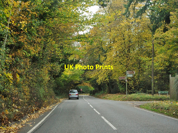 Photo 6"x4" Shire Lane Orpington c2011