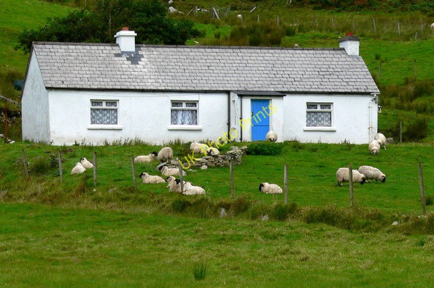 Photo 6"x4" Cottage east of Port Kilgoly c2005