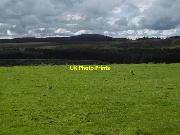 Photo 6"x4" Near Pitewan Braes of Coul c2015