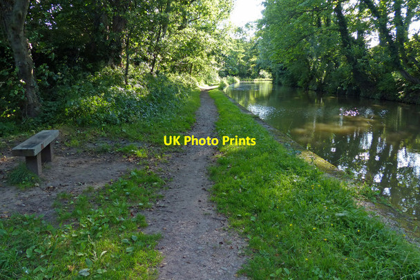 Photo 6"x4" Towpath along the Trent & Mersey Canal Little Leigh\/SJ6175 c2015