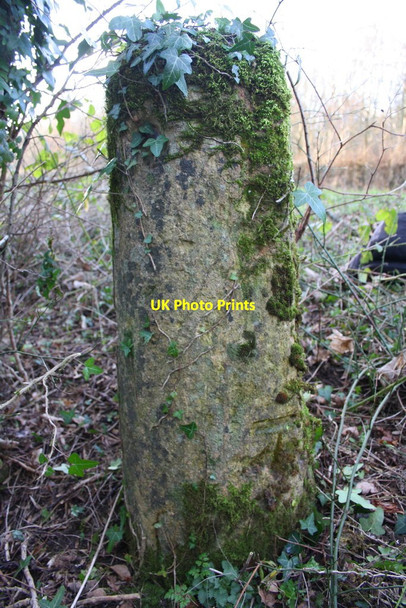 Photo 6"x4" Benchmarked milestone beside A4095 east of North Leigh East End\/SP3914 c2016