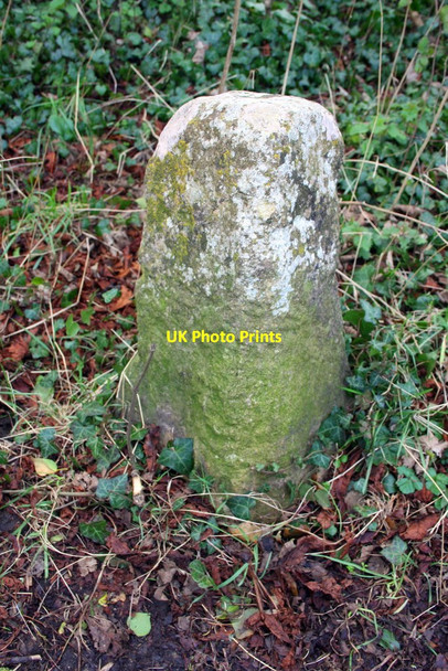 Photo 6"x4" Milestone beside B4022 opposite High Croft Farm Witney c2016
