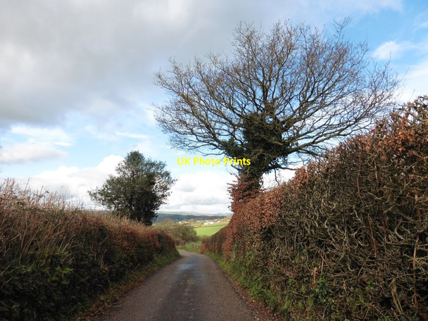 Photo 6"x4" Beer Lane Burlescombe c2016