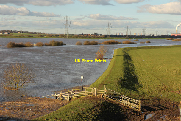 Photo 6"x4" Trent floodbank Fledborough c2016