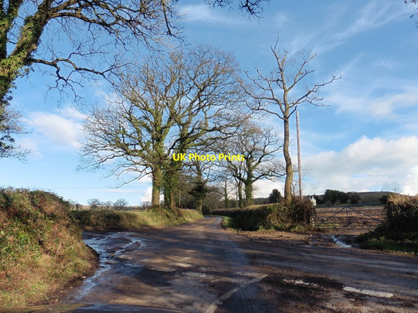 Photo 6"x4" Crossroads near Tythe Barn Woodgate\/ST1015 c2016