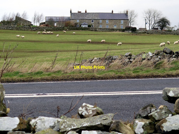 Photo 6"x4" High Teppermoor Farm north of Military Road Uppertown\/NY8672 c2016