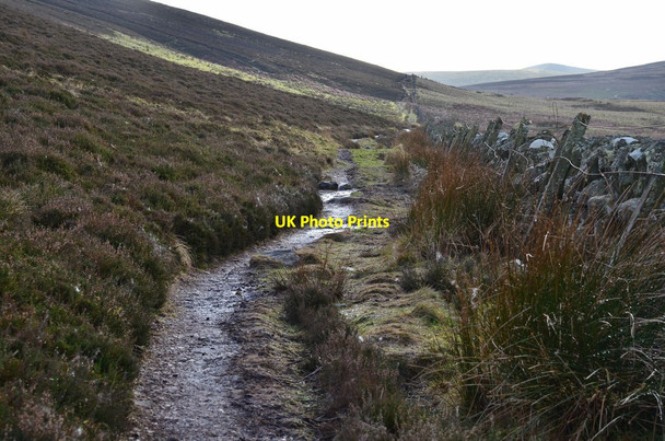 Photo 6"x4" Path below Black Hill Malleny Mills c2016
