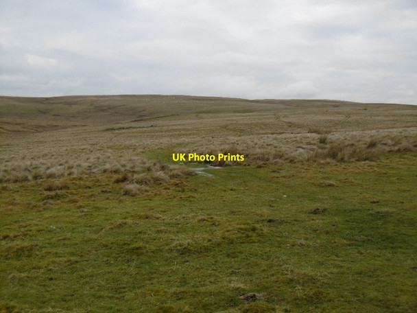 Photo 6"x4" East side of Scaur Hill Bodinglee c2016