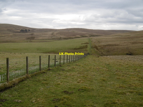 Photo 6"x4" Fence, Bodinglee Bodinglee c2016