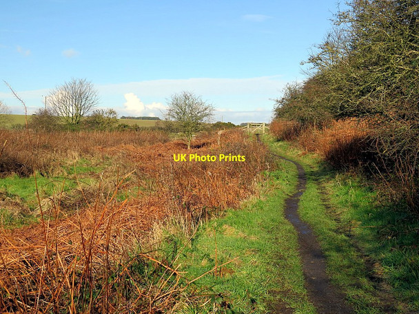 Photo 6"x4" Path below Hares' Nick, The Heughs, Craster Craster c2016