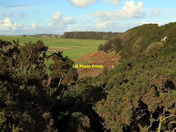 Photo 6"x4" The Heughs at Little Shaird Craster c2016