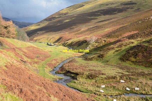 Photo 6"x4" Glen of the Logan Burn, Pentland Hills Coates\/NT2161 c2016