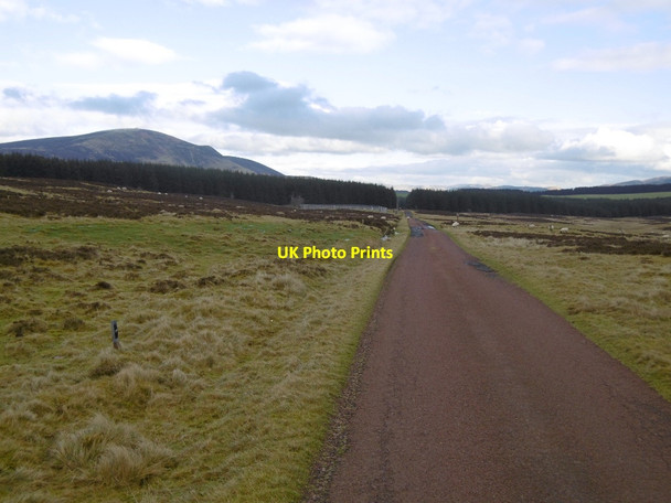 Photo 6"x4" Pink road on Burnhouse Moor Newton\/NS9331 c2016