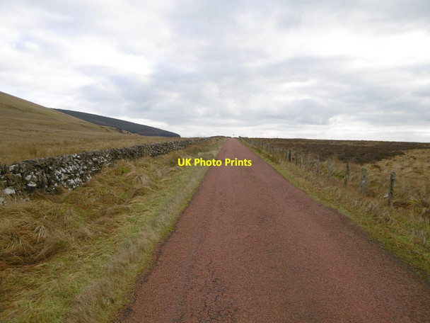 Photo 6"x4" Howgate Road Newton\/NS9331 c2016