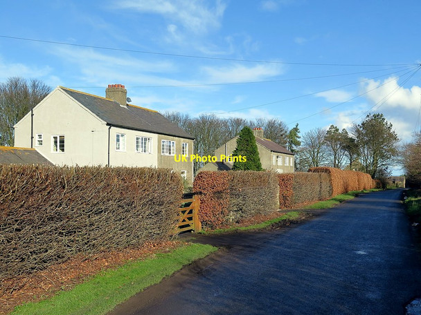 Photo 6"x4" Farm cottages at Dunstan Steads Embleton\/NU2322 c2016