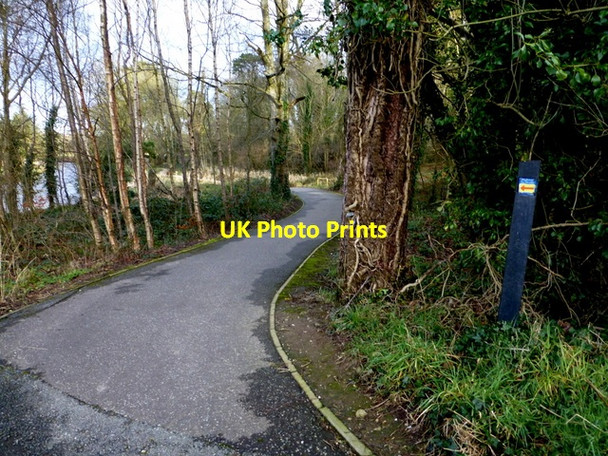 Photo 6"x4" Along the Highway to Health path, Cranny Omagh c2016