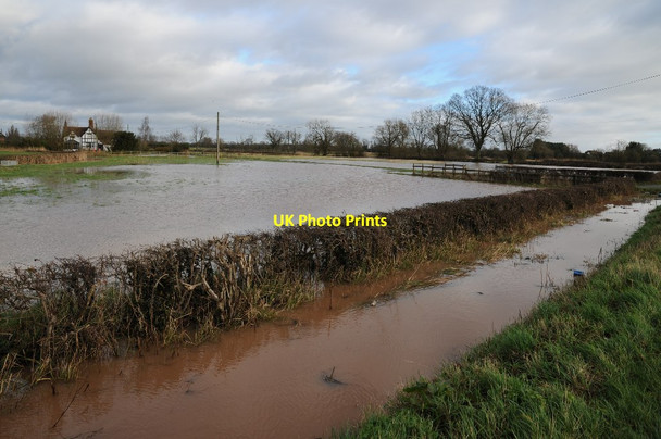 Photo 6"x4" Floodwater on farmland at Earl's Croome Baughton c2016