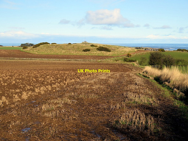Photo 6"x4" Footpath east of North Farm Embleton\/NU2322 c2016