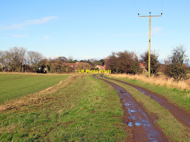 Photo 6"x4" Track south of High Newton High Newton-by-the-Sea c2016