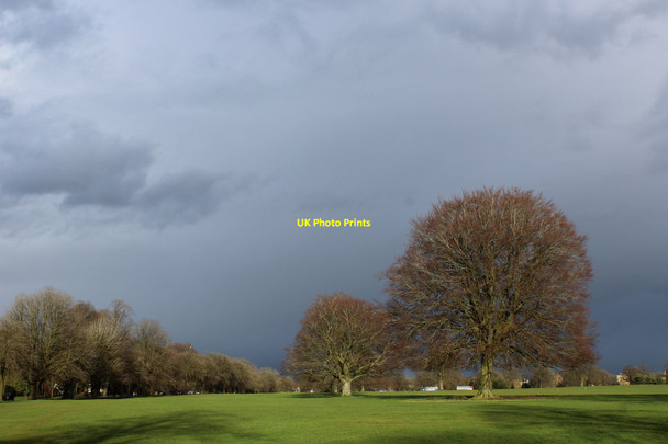 Photo 6"x4" Durdham Down Stoke Bishop c2016