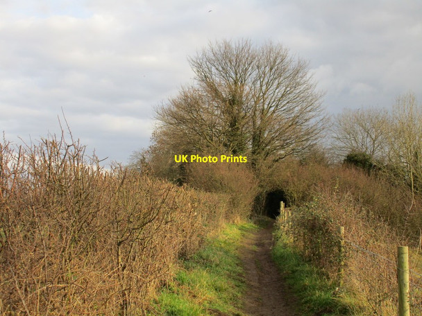 Photo 6"x4" Path to Little Smeaton Kirk Smeaton c2016