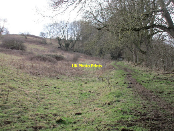 Photo 6"x4" Footpath to Wentbridge Kirk Smeaton c2016